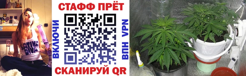 Все наркотики Обнинск Псилоцибиновые грибы  Марихуана  Героин  МЕФ  ГАШИШ  Alpha PVP  COCAIN 