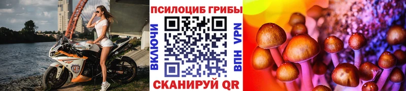 MEGA онион  Обнинск  Псилоцибиновые грибы MAGIC MUSHROOMS  хочу наркоту 